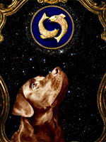 Horoscope for dogs